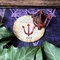 Imp Pin